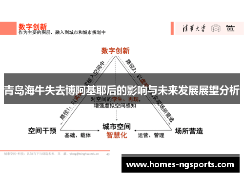 青岛海牛失去博阿基耶后的影响与未来发展展望分析